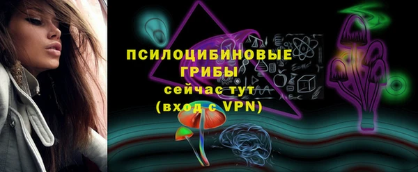 мяу мяу мука Гусь-Хрустальный