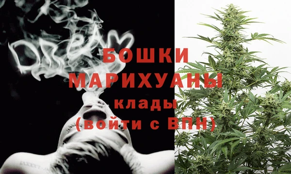 бошки Гусев