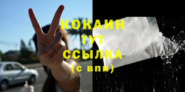 гидра Гусиноозёрск