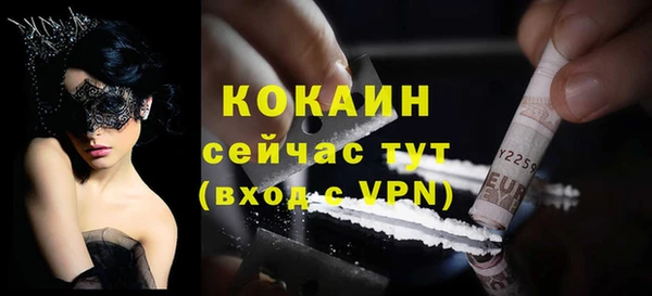 мяу мяу мука Гусь-Хрустальный
