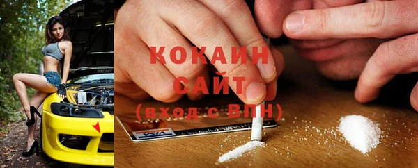 гидра Гусиноозёрск