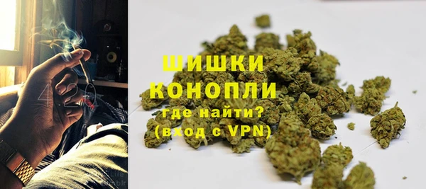 гидра Гусиноозёрск
