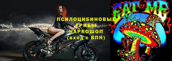 гидра Гусиноозёрск