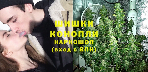 гидра Гусиноозёрск