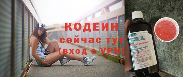 мяу мяу мука Гусь-Хрустальный