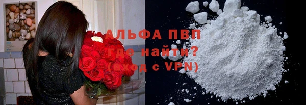 гидра Гусиноозёрск
