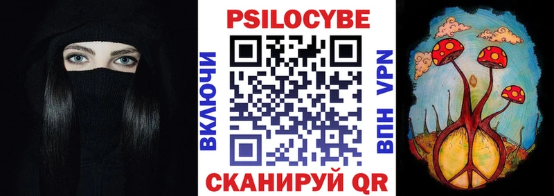 Галлюциногенные грибы Psilocybe  Одинцово 